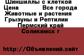 Шиншиллы с клеткой › Цена ­ 8 000 - Все города Животные и растения » Грызуны и Рептилии   . Пермский край,Соликамск г.